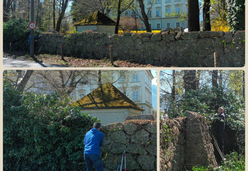 Grünraumarbeiten beim Schloss Leopoldskron...